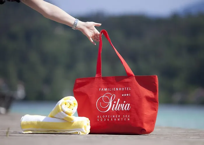 Отель Silvia 3*